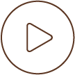 動画 Movie